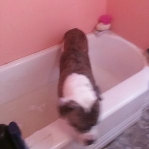 Meet your Posher, Eric